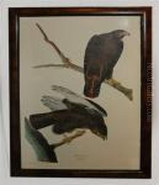 Black Warrior Oil Painting by John James Audubon