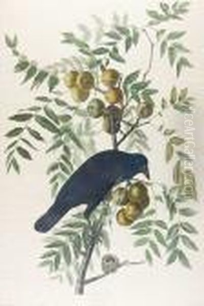 American Crow (pl.clvi)1833 From The Havelledition Of The Birds Of America Oil Painting by John James Audubon