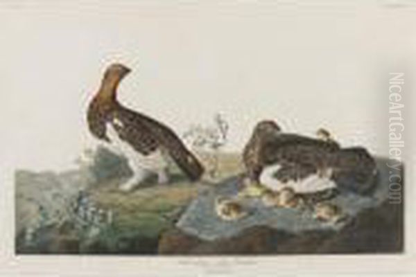 Willow Grous Or Large Ptarmigan (plate Cxci) Oil Painting by John James Audubon