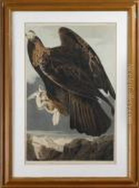 Golden Eagle Oil Painting by John James Audubon