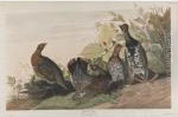 Spotted Grous Oil Painting by John James Audubon