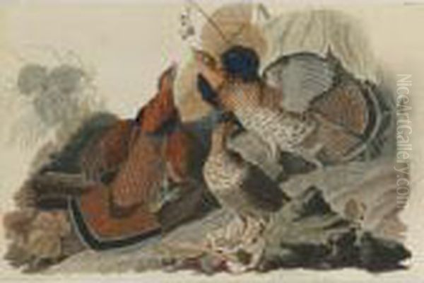 Ruffed Grouse (plate 41) Oil Painting by John James Audubon