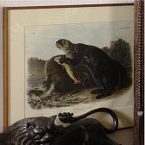 Sea Otter Oil Painting by John James Audubon