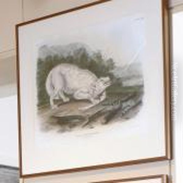 White American Wolf Oil Painting by John James Audubon