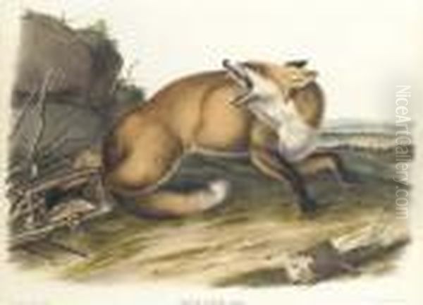 By John T. Bowen Oil Painting by John James Audubon