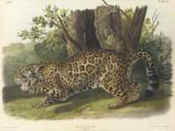 By John T. Bowen Oil Painting by John James Audubon