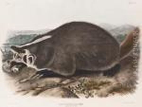 By John T. Bowen Oil Painting by John James Audubon