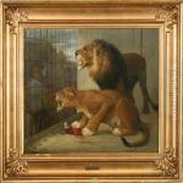 Lions In A Cage Oil Painting by Otto Bache