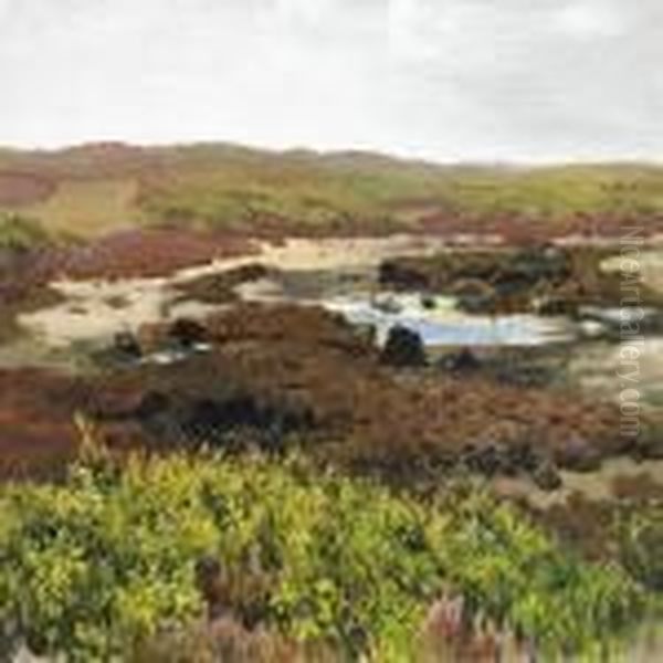 Scenery From The Moor Oil Painting by Otto Bache