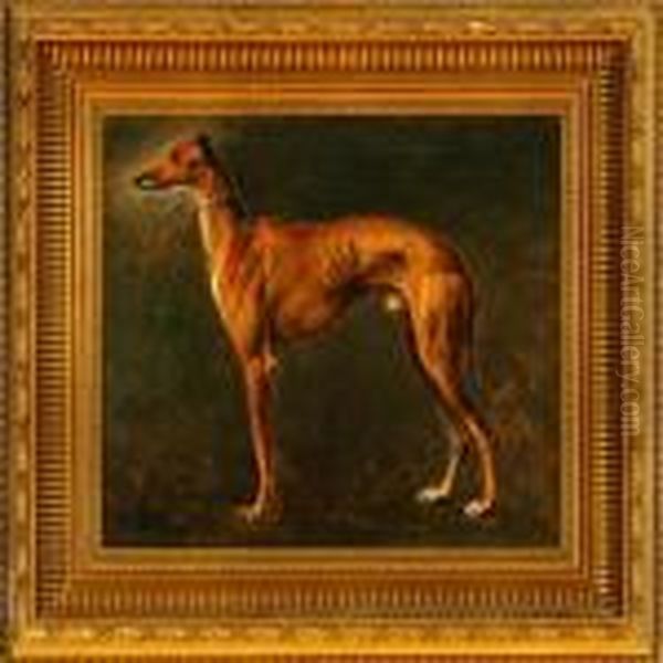 A Greyhound Oil Painting by Otto Bache