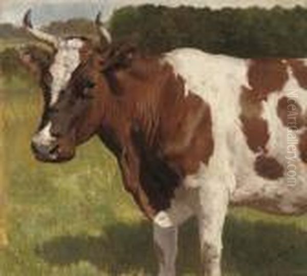 A Cow In Pasture Oil Painting by Otto Bache