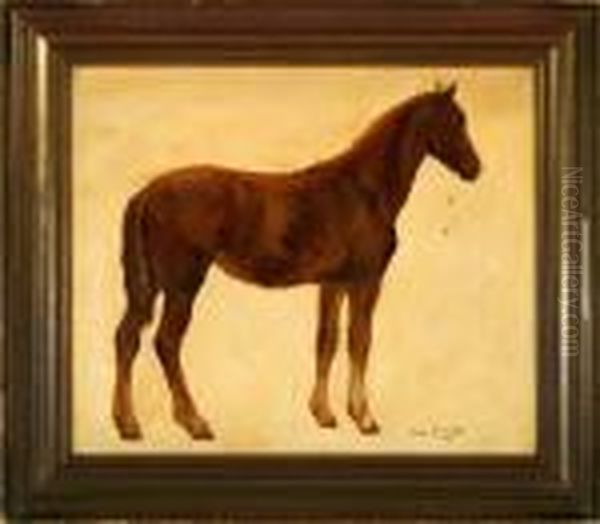 A Study Of A Horse Oil Painting by Otto Bache