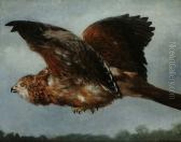 A Buzzard In Flight Oil Painting by Otto Bache