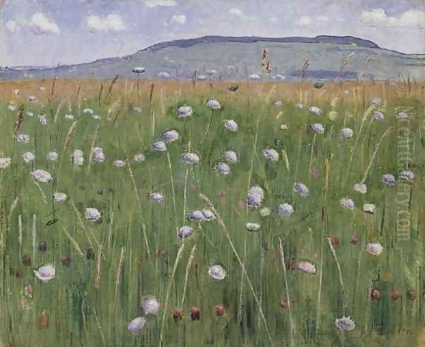 Wiesenstück Oil Painting by Ferdinand Hodler