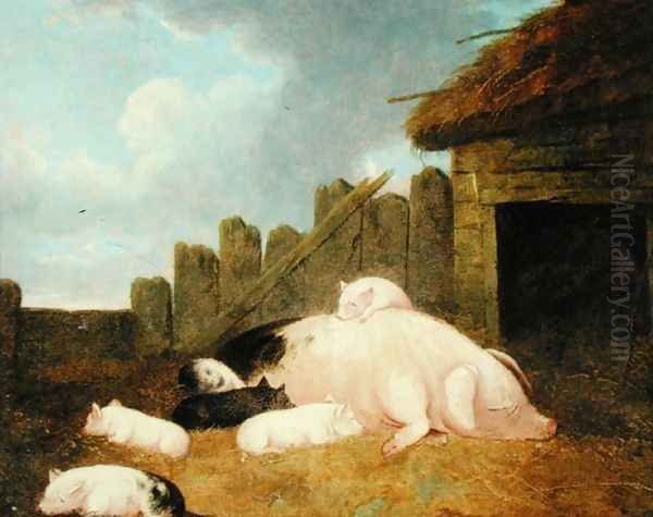 Sow with Piglets in the Sty Oil Painting by John Frederick Herring Snr