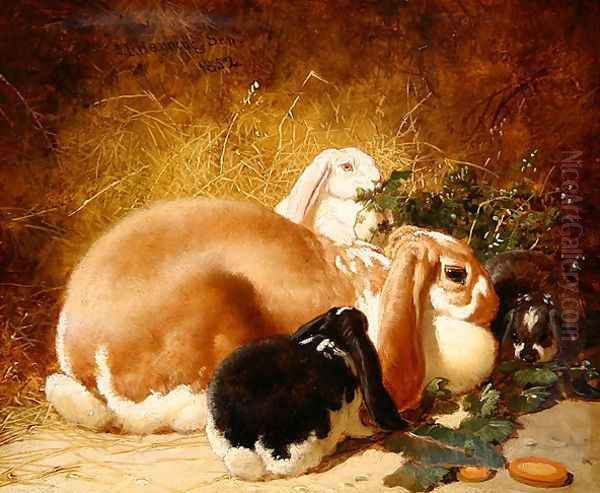 Rabbits, 1852 Oil Painting by John Frederick Herring Snr