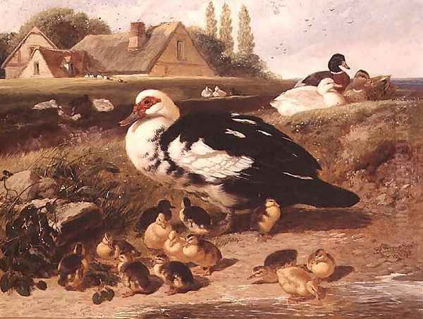 Ducks and Ducklings Oil Painting by John Frederick Herring Snr