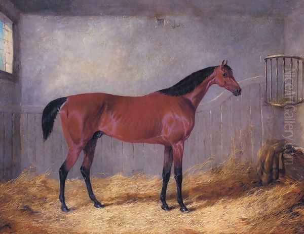 The Duke Of Grafton's Bolivar In A Stable Oil Painting by John Frederick Herring Snr