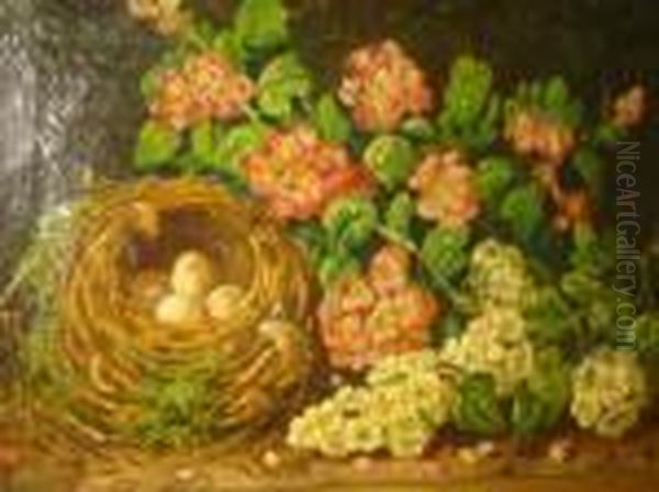 Still Life With Bird Nest And Flowers Oil Painting by Charles Thomas Bale