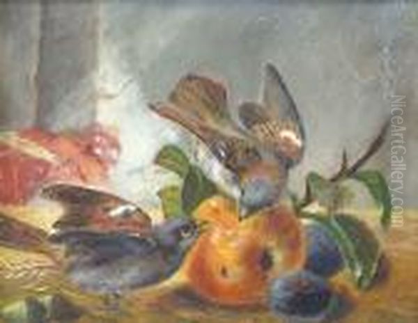 Chaffinches With An Apple And Plums Oil Painting by Charles Thomas Bale