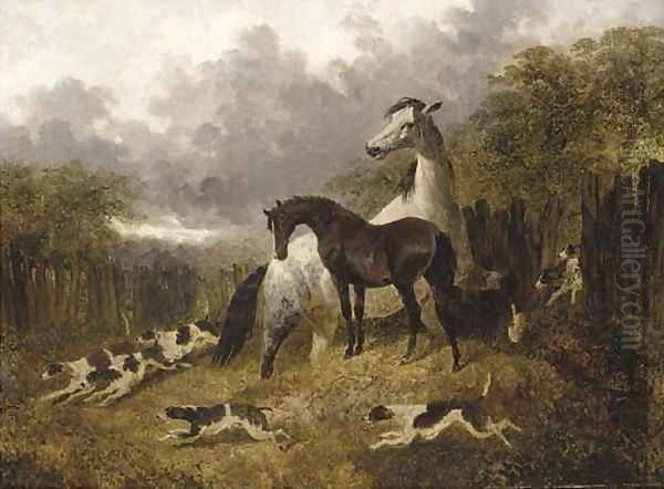 A mare and foal with a pack of hounds Oil Painting by John Frederick Herring Snr