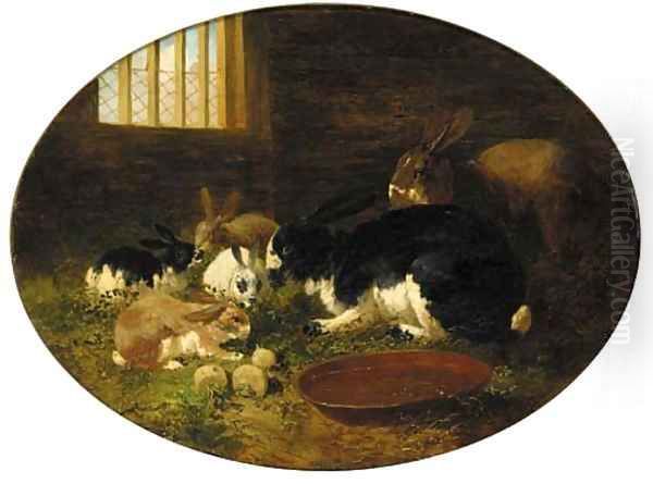 Rabbits in a barn Oil Painting by John Frederick Herring Snr