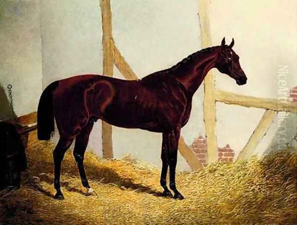 Mr. John Bowe's Bay Colt Cotherstone, by Touchstone out of Emma, in a loosebox Oil Painting by John Frederick Herring Snr