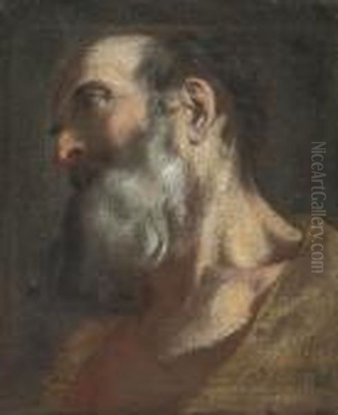 Head Study Of A Bearded Man In A Brown Coat Oil Painting by Federico Fiori Barocci