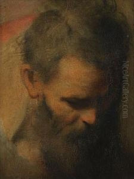 The Head Of A Bearded Man, A Sketch For Oil Painting by Federico Fiori Barocci