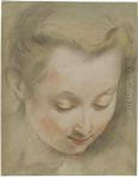 Study Of The Head Of A Young Woman Looking Down To The Right Oil Painting by Federico Fiori Barocci