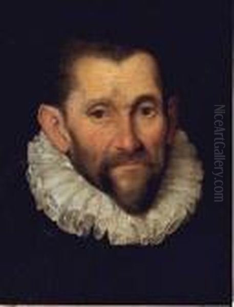 Portrait De Gentilhomme A La Fraise Oil Painting by Federico Fiori Barocci