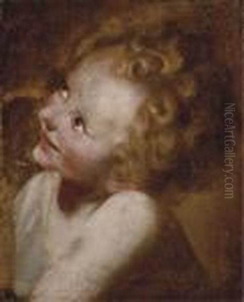 Study Of The Head Of The Christ Child Oil Painting by Federico Fiori Barocci