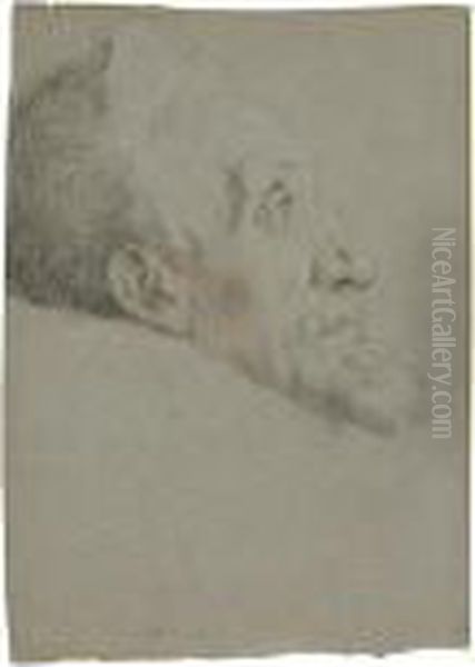 Study Of A Man's Head In Profile by Federico Fiori Barocci