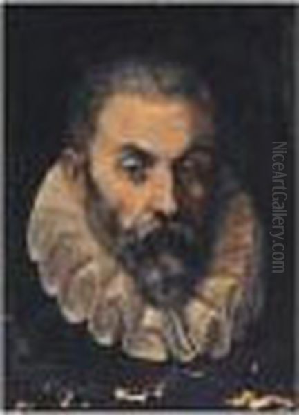 Portrait Of A Gentleman, Head 
And Shoulders, Said To Be Guidobaldo Della Rovere, Duke Of Urbino Oil Painting by Federico Fiori Barocci