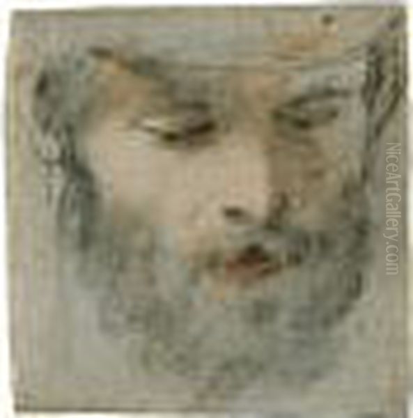 Head Of A Man Looking Down Oil Painting by Federico Fiori Barocci