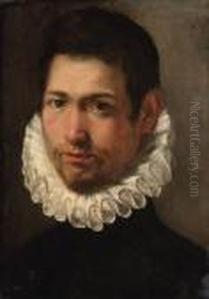 Portrait Of A Young Man, Bust-length, In A White Ruff Oil Painting by Federico Fiori Barocci