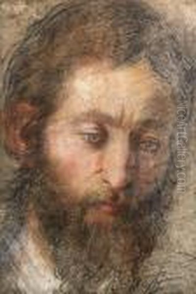 The Head Of A Man Looking Down Oil Painting by Federico Fiori Barocci