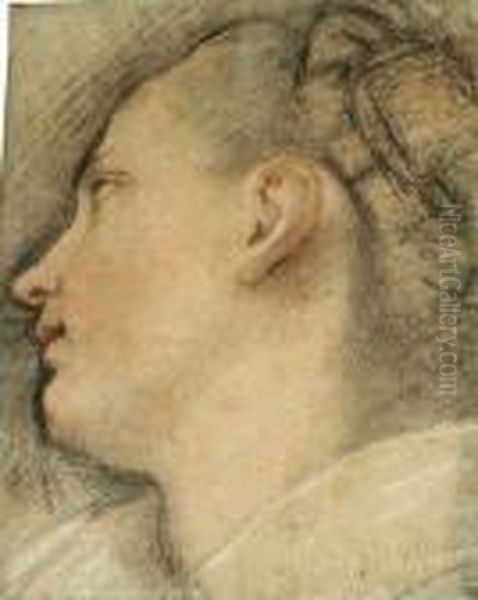 The Head Of A Young Woman, In Profile Looking Up To The Left Oil Painting by Federico Fiori Barocci