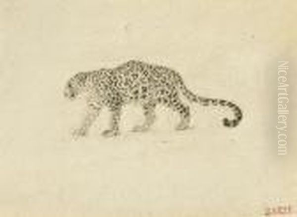 Study Of A Leopard Oil Painting by Antoine-louis Barye