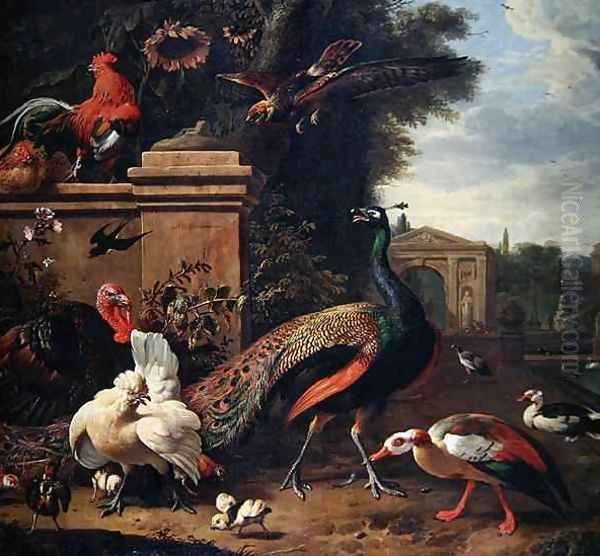 A Peacock a Hawk and Various Fowl and Ducks in a Park Oil Painting by Melchior de Hondecoeter