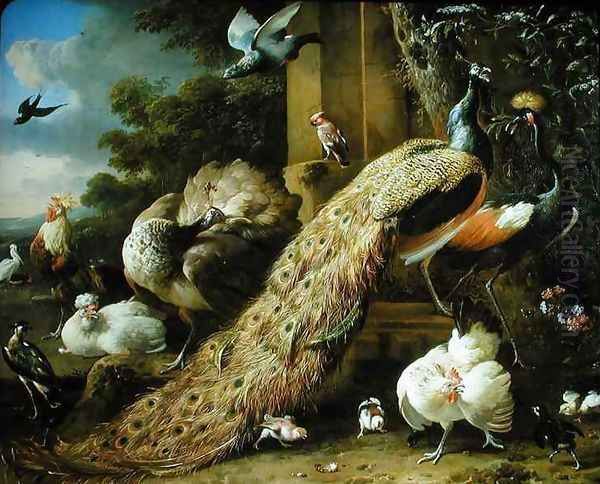 Peacock parakeet pelican crane and poultry Oil Painting by Melchior de Hondecoeter