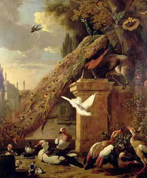 Peacocks and Ducks Oil Painting by Melchior de Hondecoeter