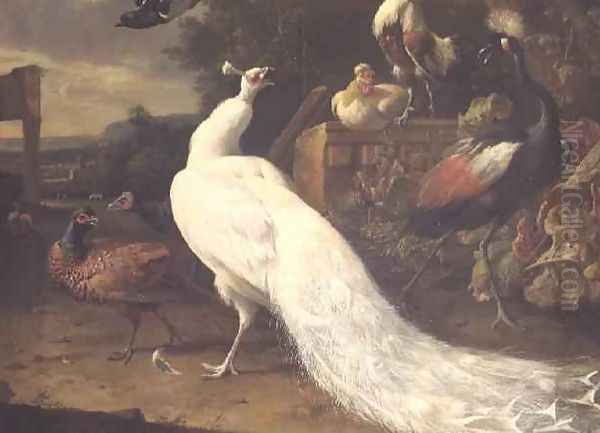 The White Peacock Oil Painting by Melchior de Hondecoeter