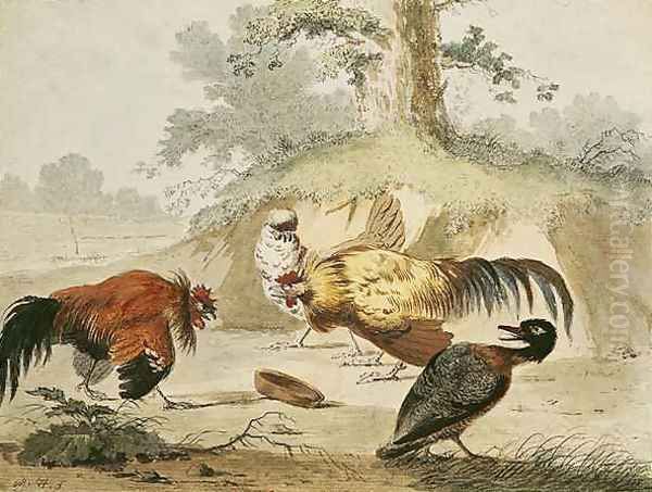 Cocks Fighting Oil Painting by Melchior de Hondecoeter