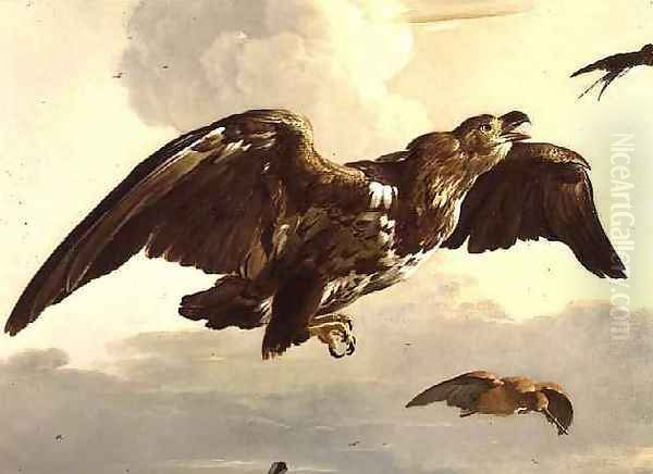 An Eagle and a Swallow in Flight Oil Painting by Melchior de Hondecoeter