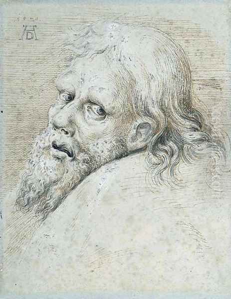 The Head of a bearded Man, turned to the left looking back Oil Painting by Hans Hoffmann