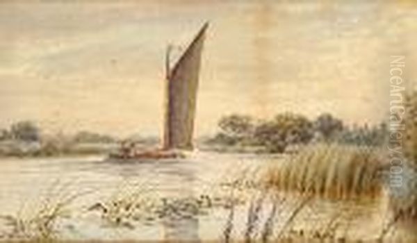 A Wherry On A Broadland River Oil Painting by Stephen John Batchelder