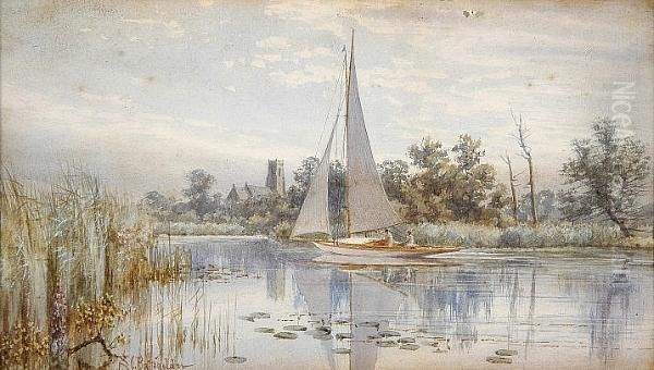 A White Boat On A Broadland River Oil Painting by Stephen John Batchelder