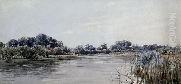 Broadland River Landscape Oil Painting by Stephen John Batchelder