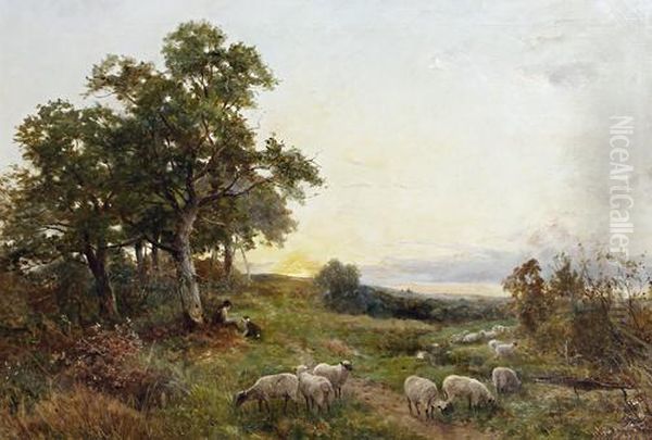 A Shepherd And His Flock, Near Ledbury Oil Painting by David Bates